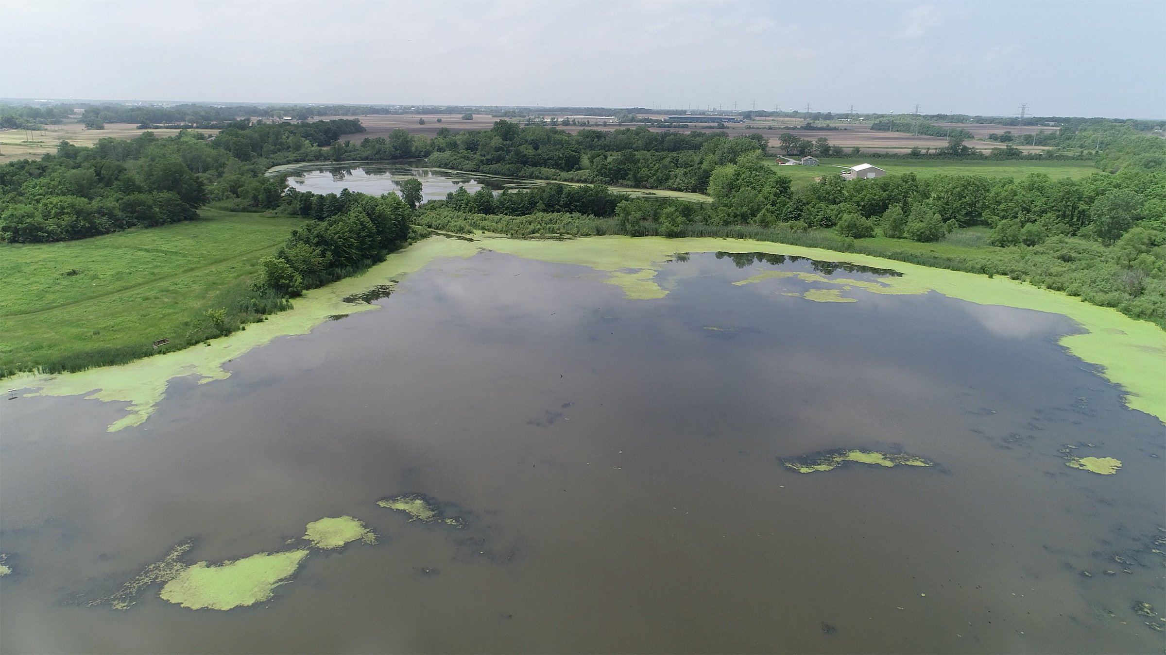 Lake County, Indiana farmland - LAND AUCTION - 147+/- ACRES OFFERED IN 3 TRACTS IN LAKE COUNTY, INDIANA